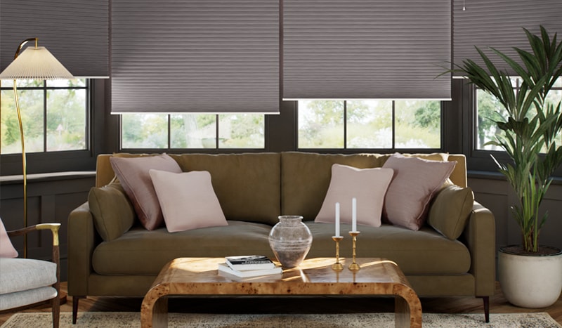 DuoShade Pleated Blinds